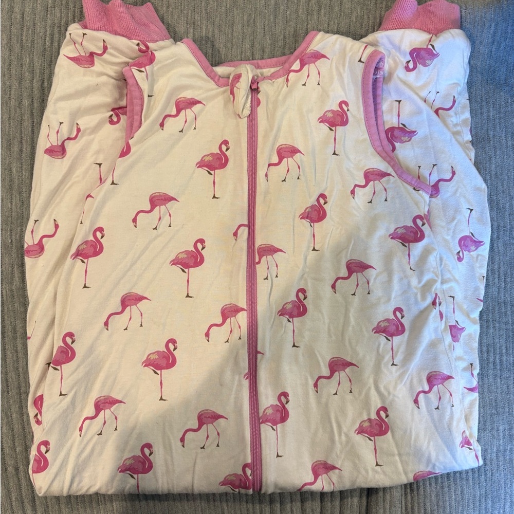 Kyte baby flamingo walker